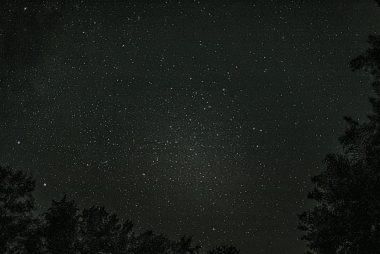 a starry night sky with trees